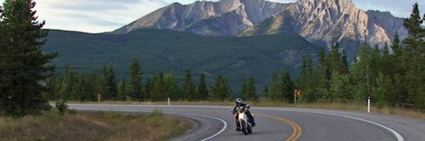 CAT1PRO Profile Banner