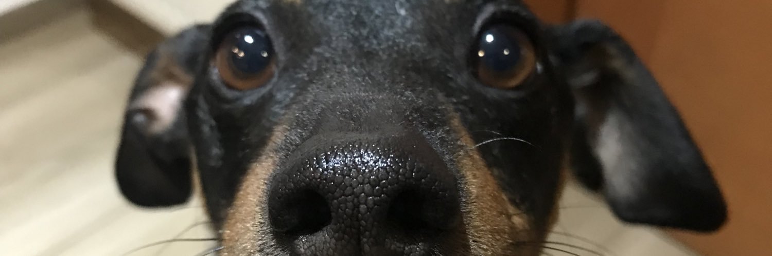 alsfmm's profile banner image