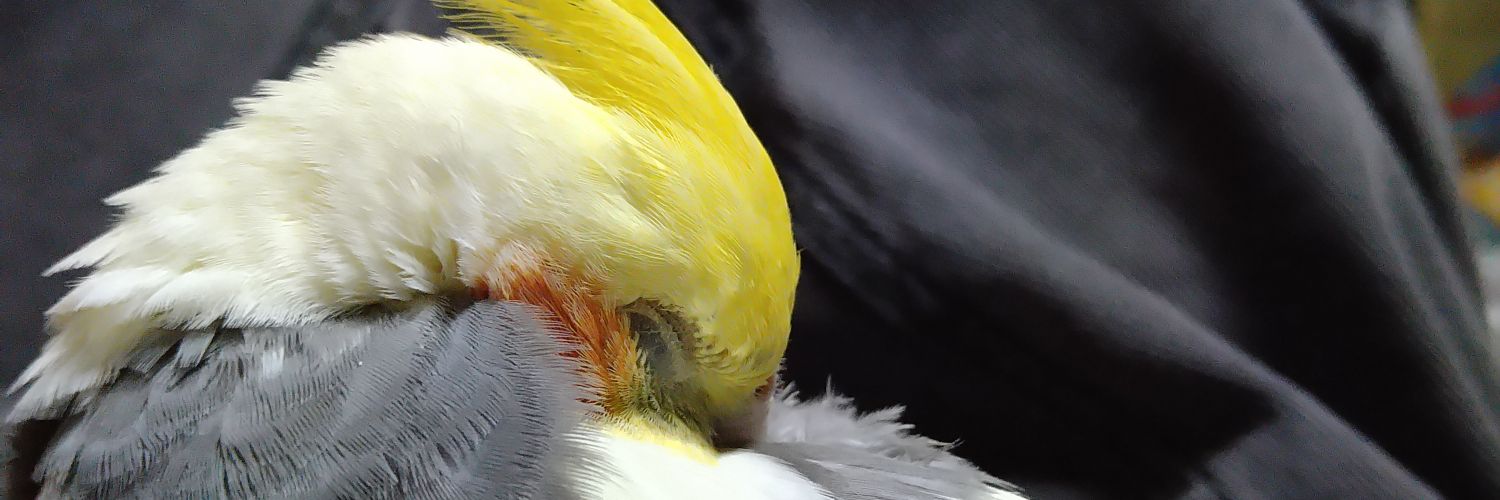 warutun's profile banner image