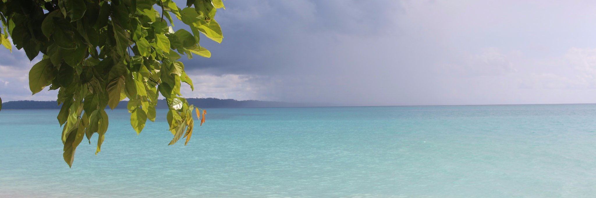 almamunreal's profile banner image