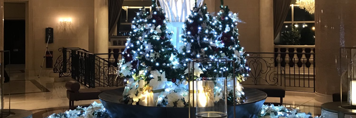 蒼依(ακι)@땡땡이 banner