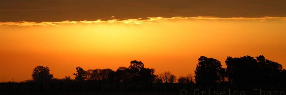 FrancoGazza's profile banner image