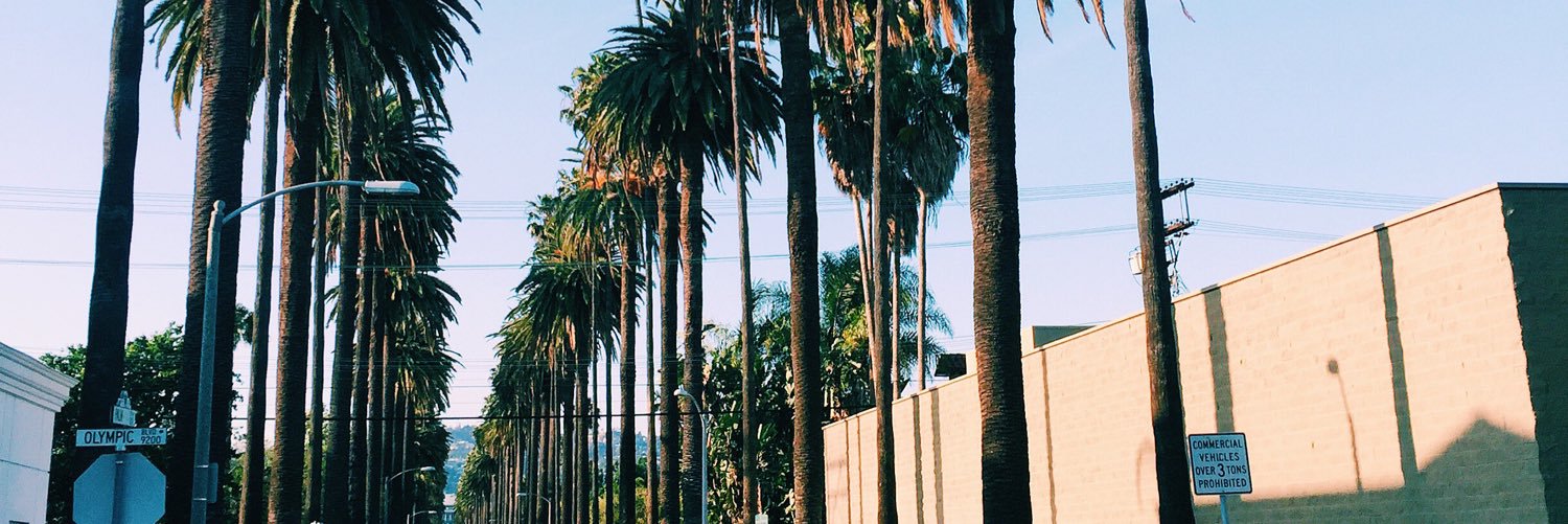lexiweiner_'s profile banner image