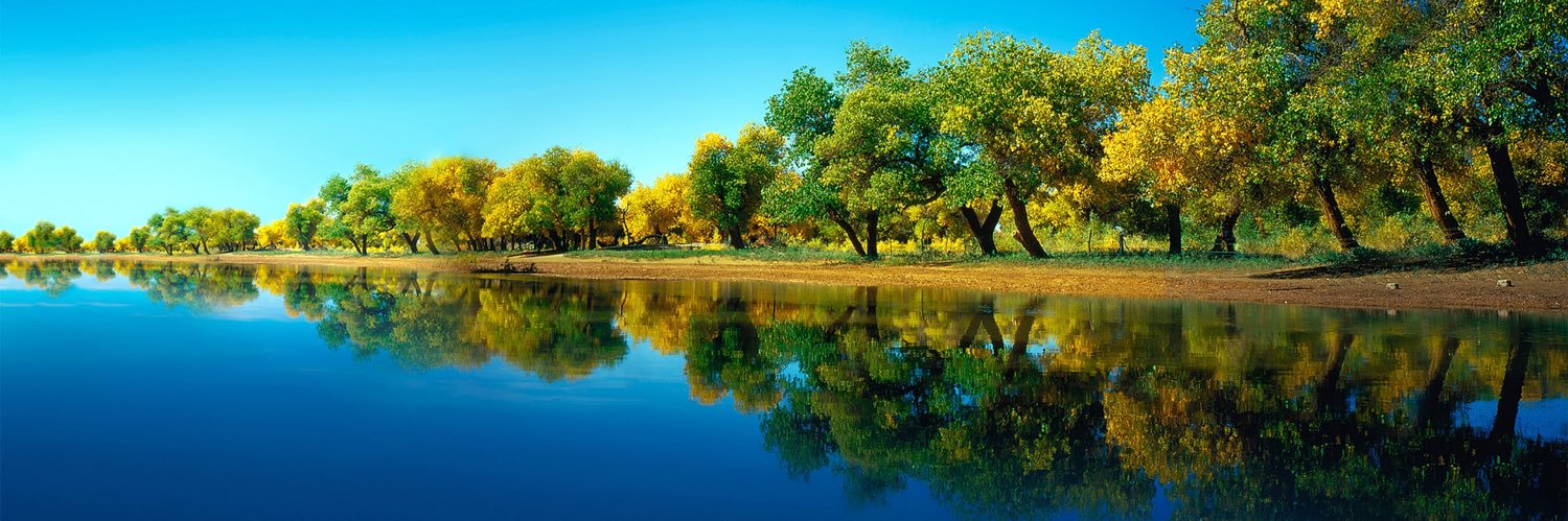 平天大圣🇺🇦 banner