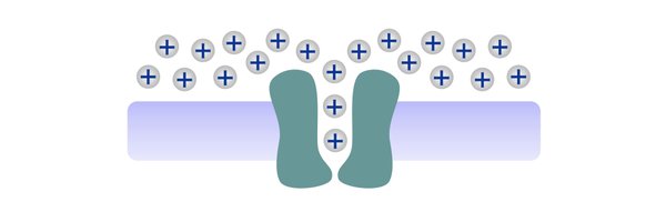 osmoland Profile Banner