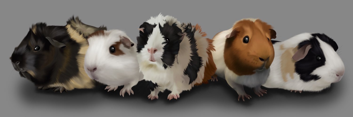 condxlences_'s profile banner image