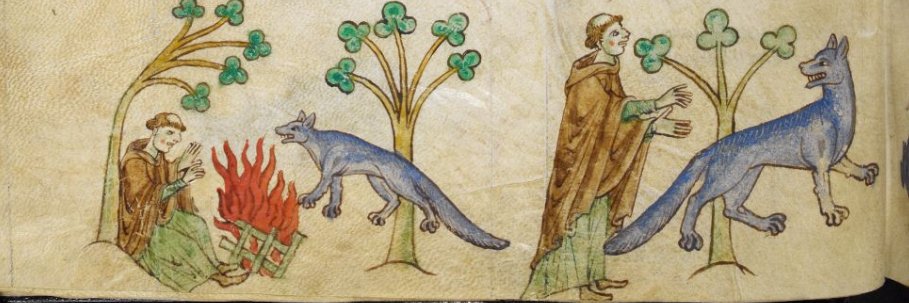 Rachel Martin banner