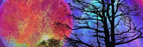 Kidd_ColeZN's profile banner image
