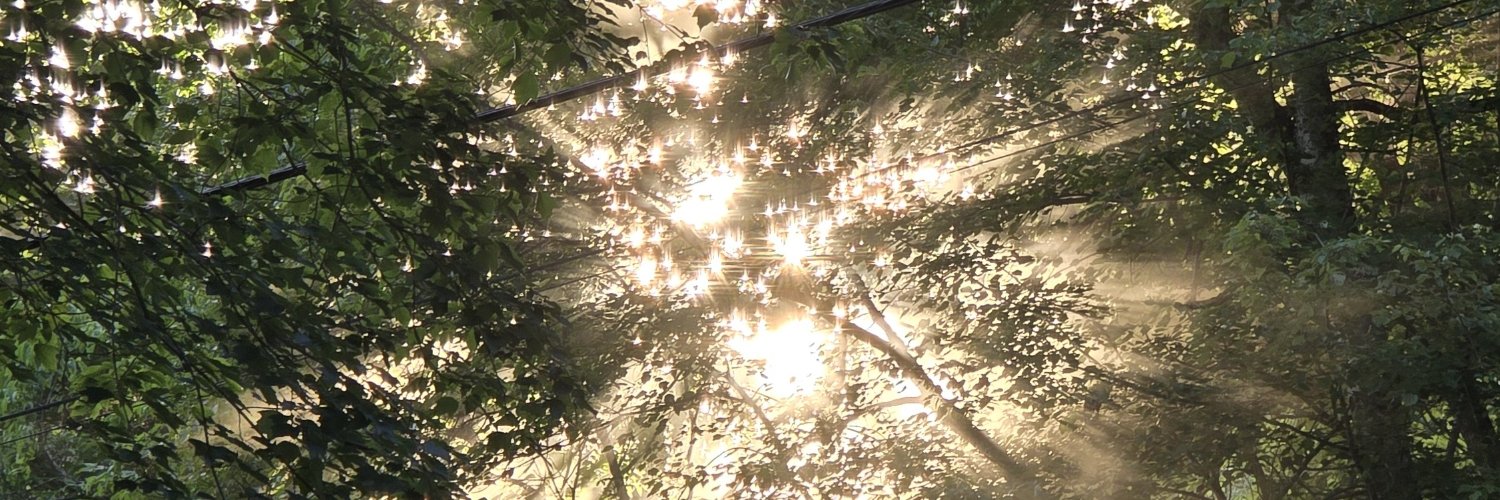 hedgenewt's profile banner image