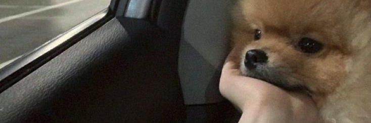asmmaaaaaaaa2's profile banner image