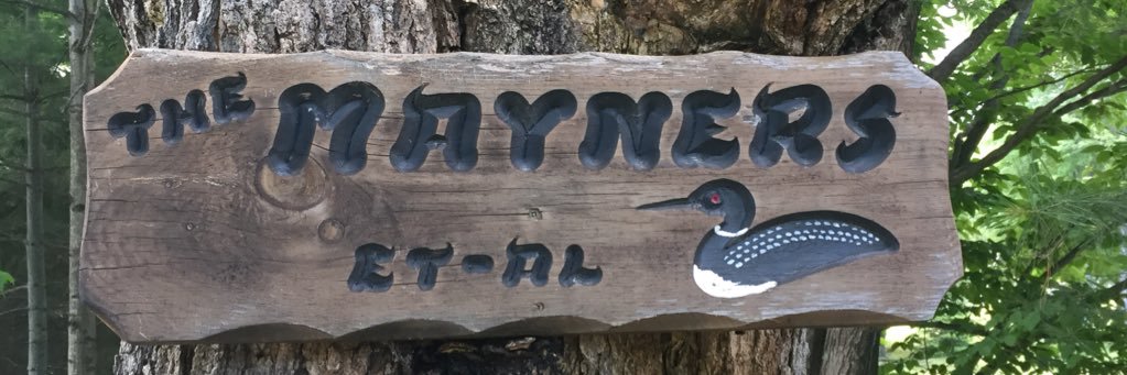 msmayner's profile banner image