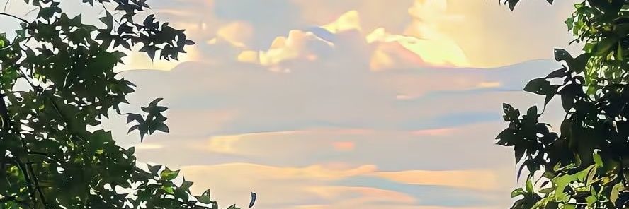 junmoyao's profile banner image