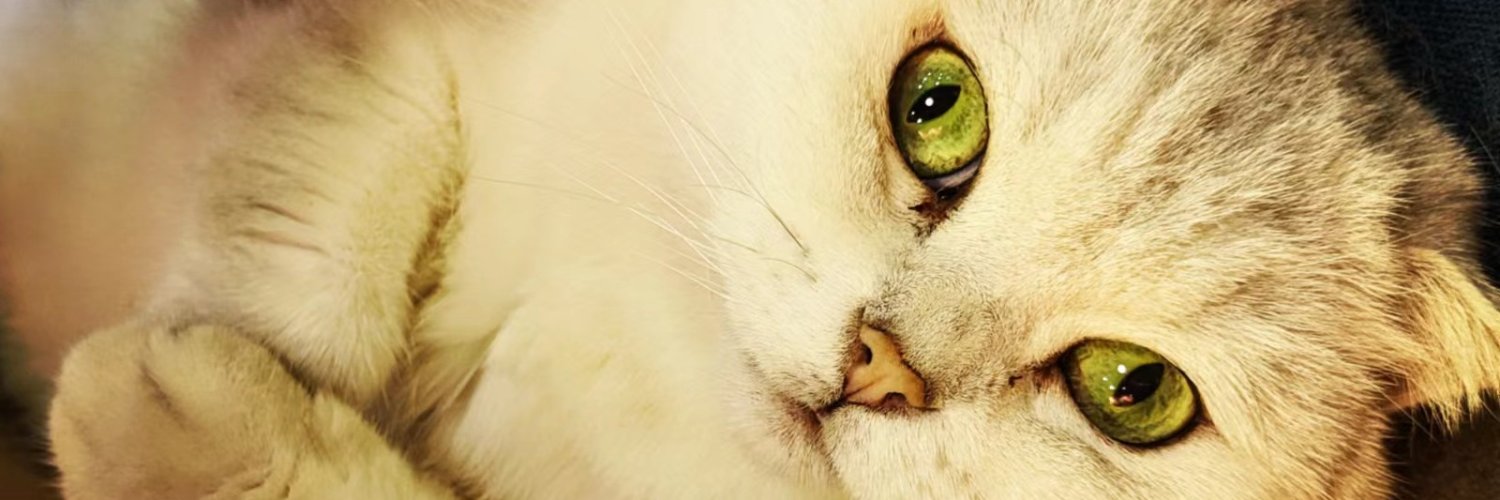 wbbhzhk's profile banner image
