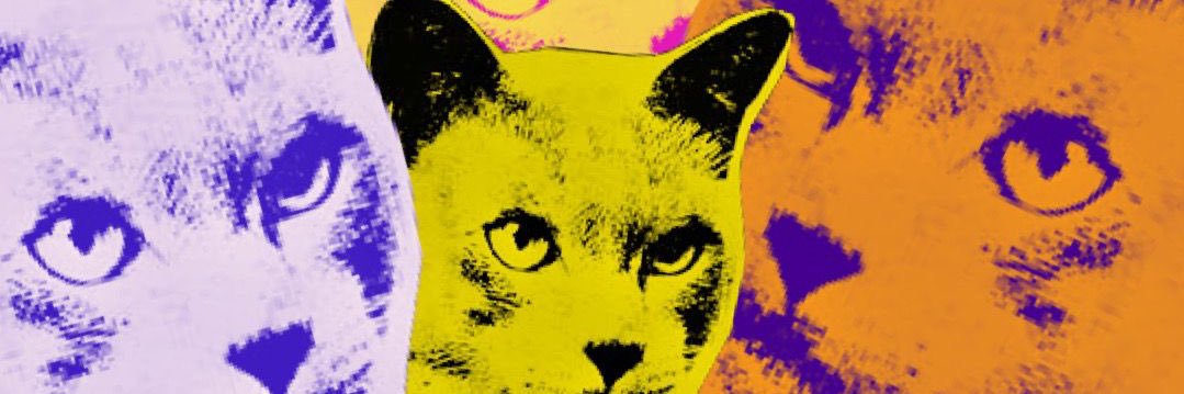 iriseaii's profile banner image