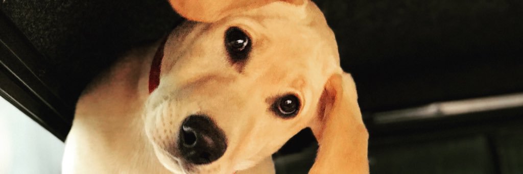 HuntData's profile banner image