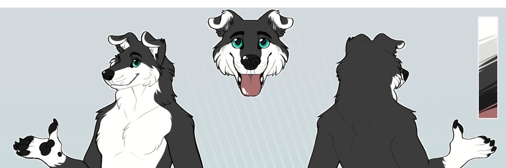 SenvelShepherd's profile banner image