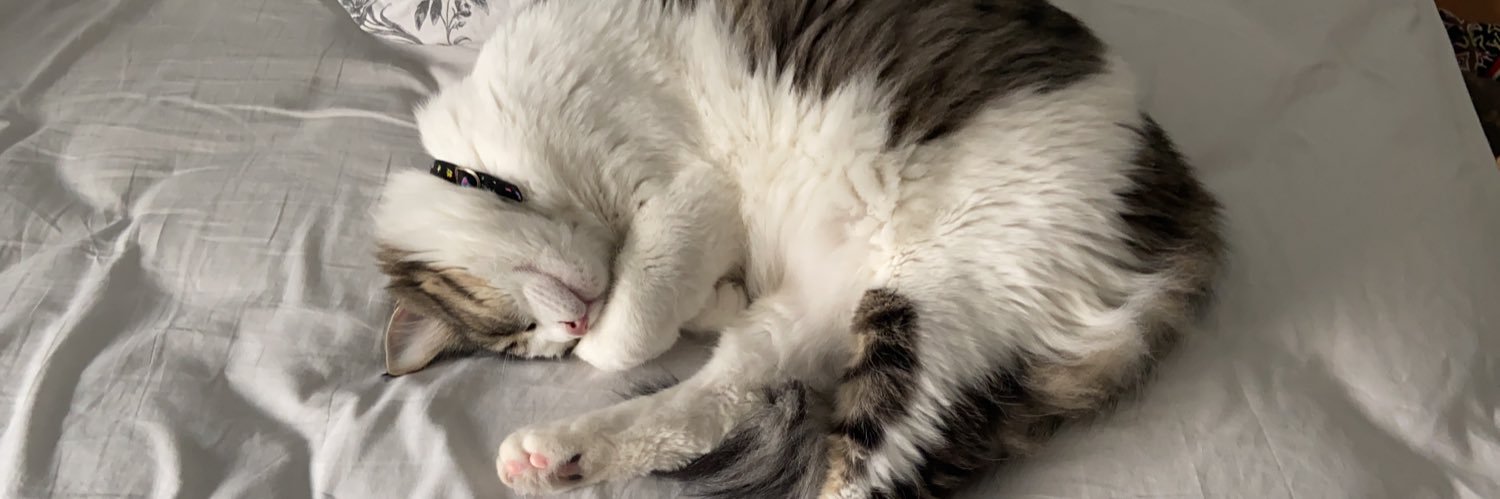 Wafa Allhaidan banner