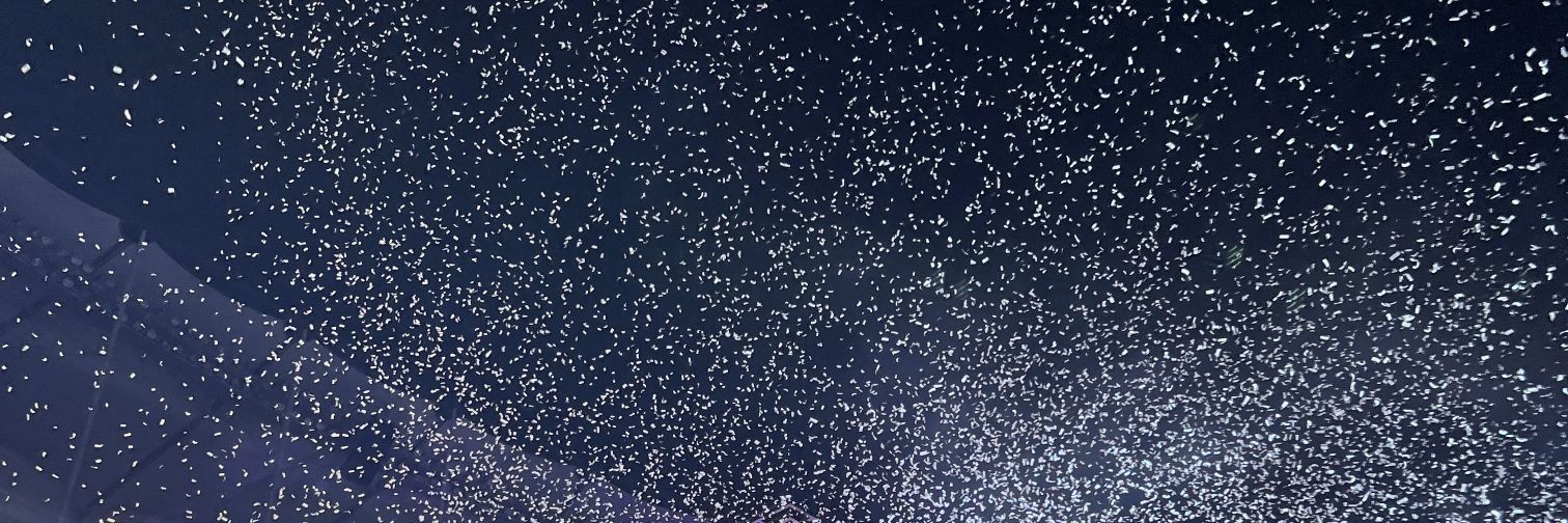 myphosphene's profile banner image