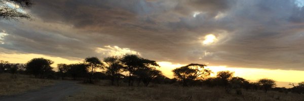 alexploeg Profile Banner