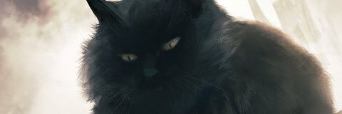 MoDuo01's profile banner image