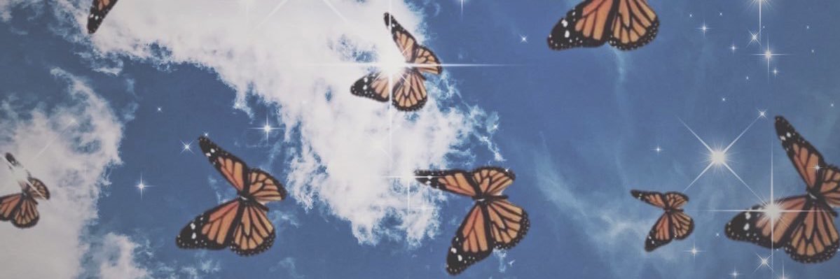 haley_toth's profile banner image