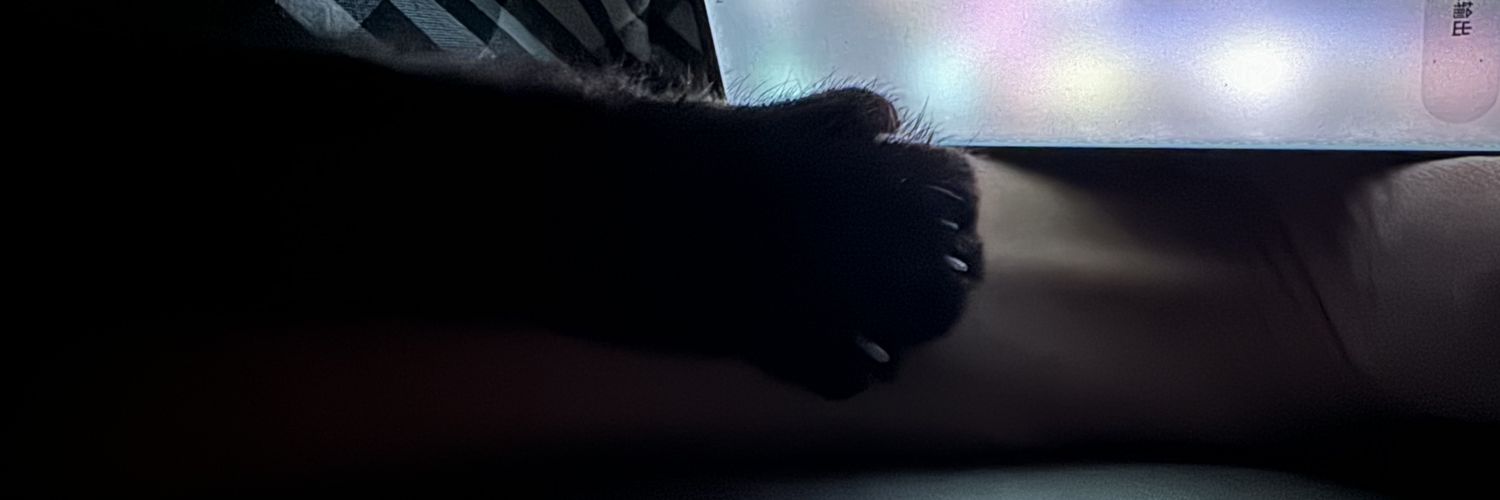 AKOOpls's profile banner image