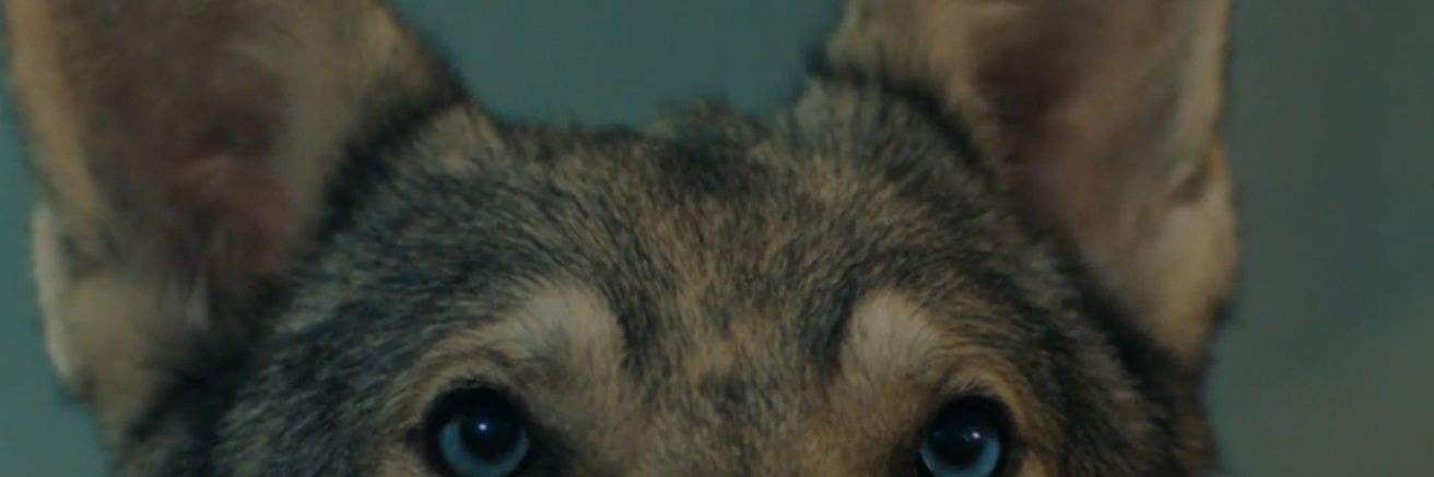 S03Gok's profile banner image