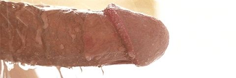 M1941426's profile banner image