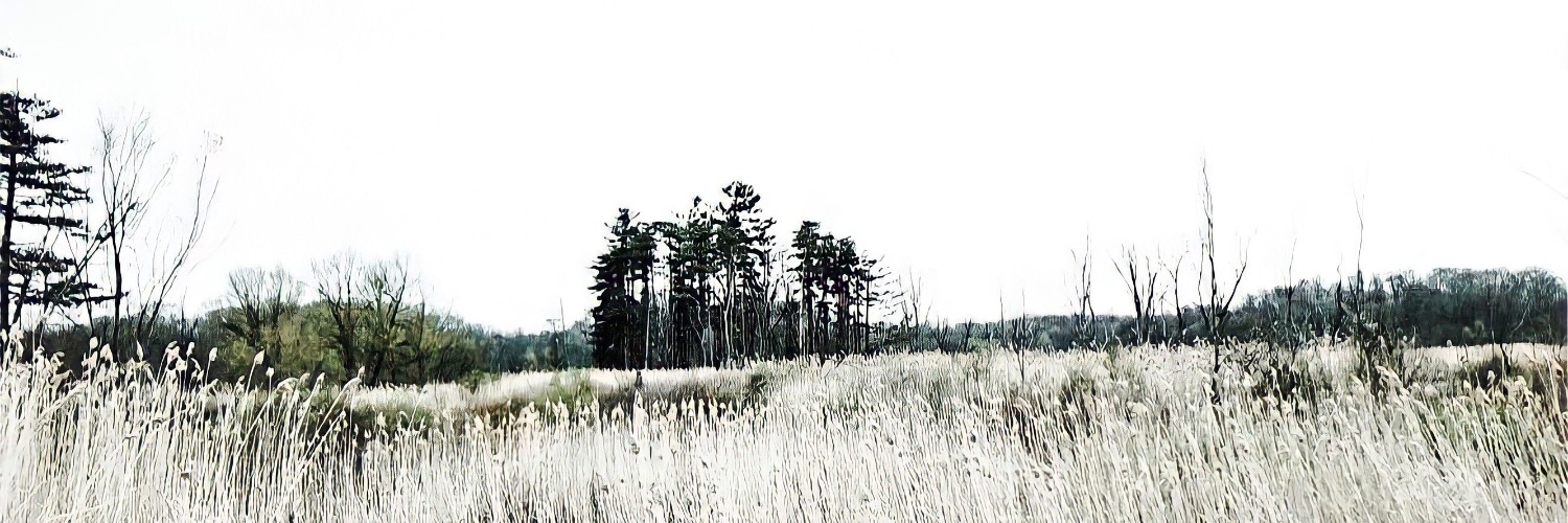 seandebonis's profile banner image