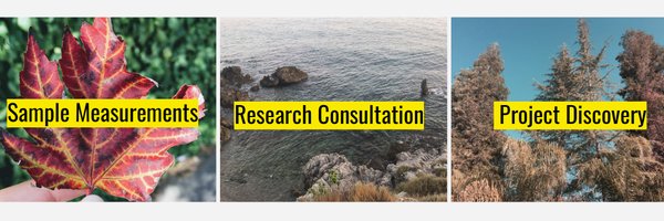 904Spark Profile Banner