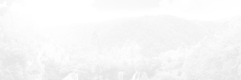 M24 MGMT banner
