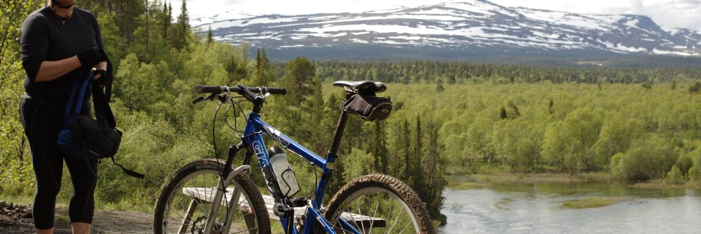 suzanstenberg's profile banner image