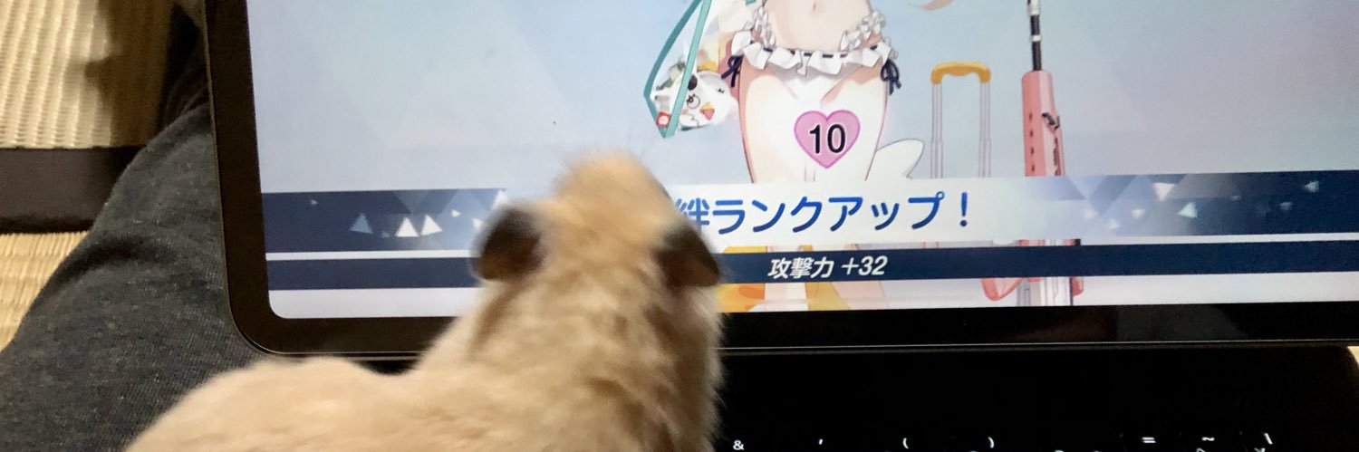 crubtu_'s profile banner image