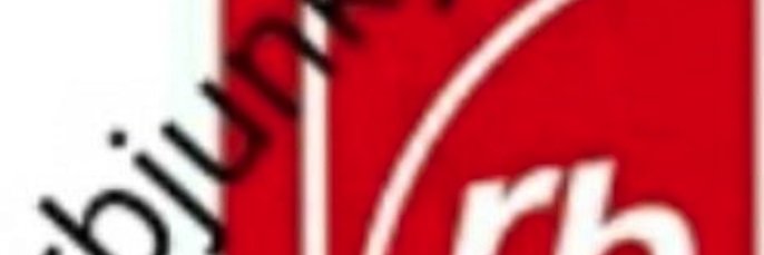 RBJunky's profile banner image