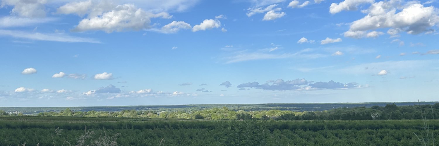Sophie banner