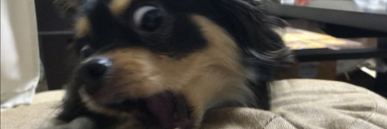 yonooooo_hello's profile banner image
