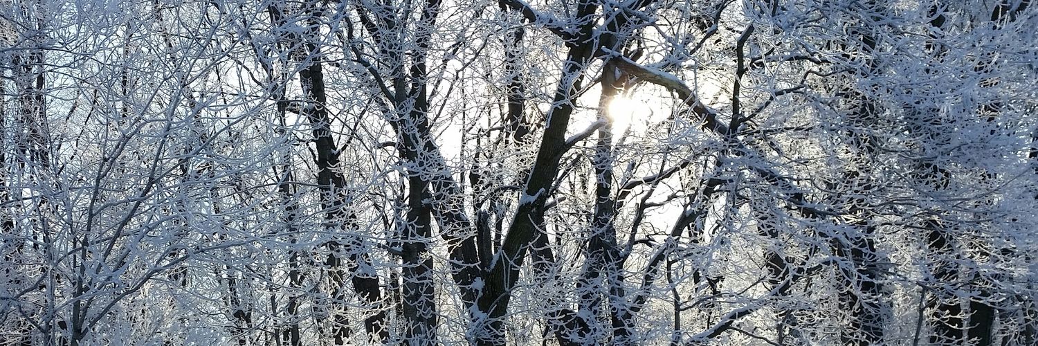 PDeWalt1's profile banner image