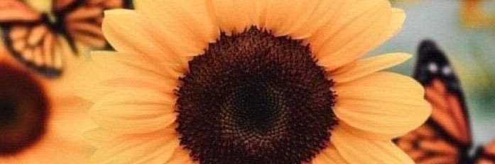 thamarasas's profile banner image