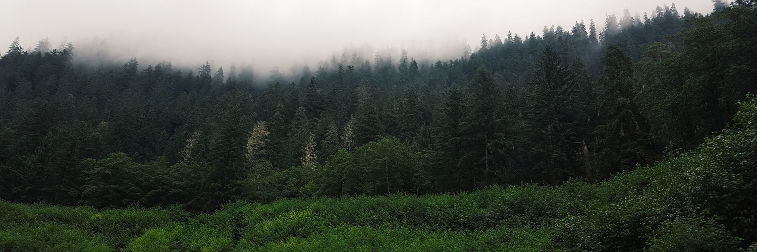 tymbietott's profile banner image