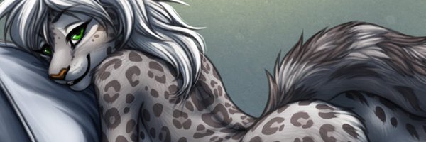 PhyerPhox Profile Banner