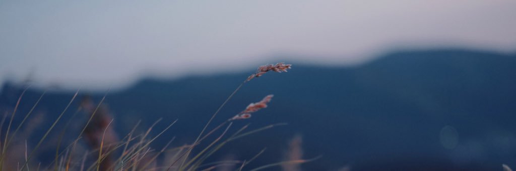 olmatthew's profile banner image