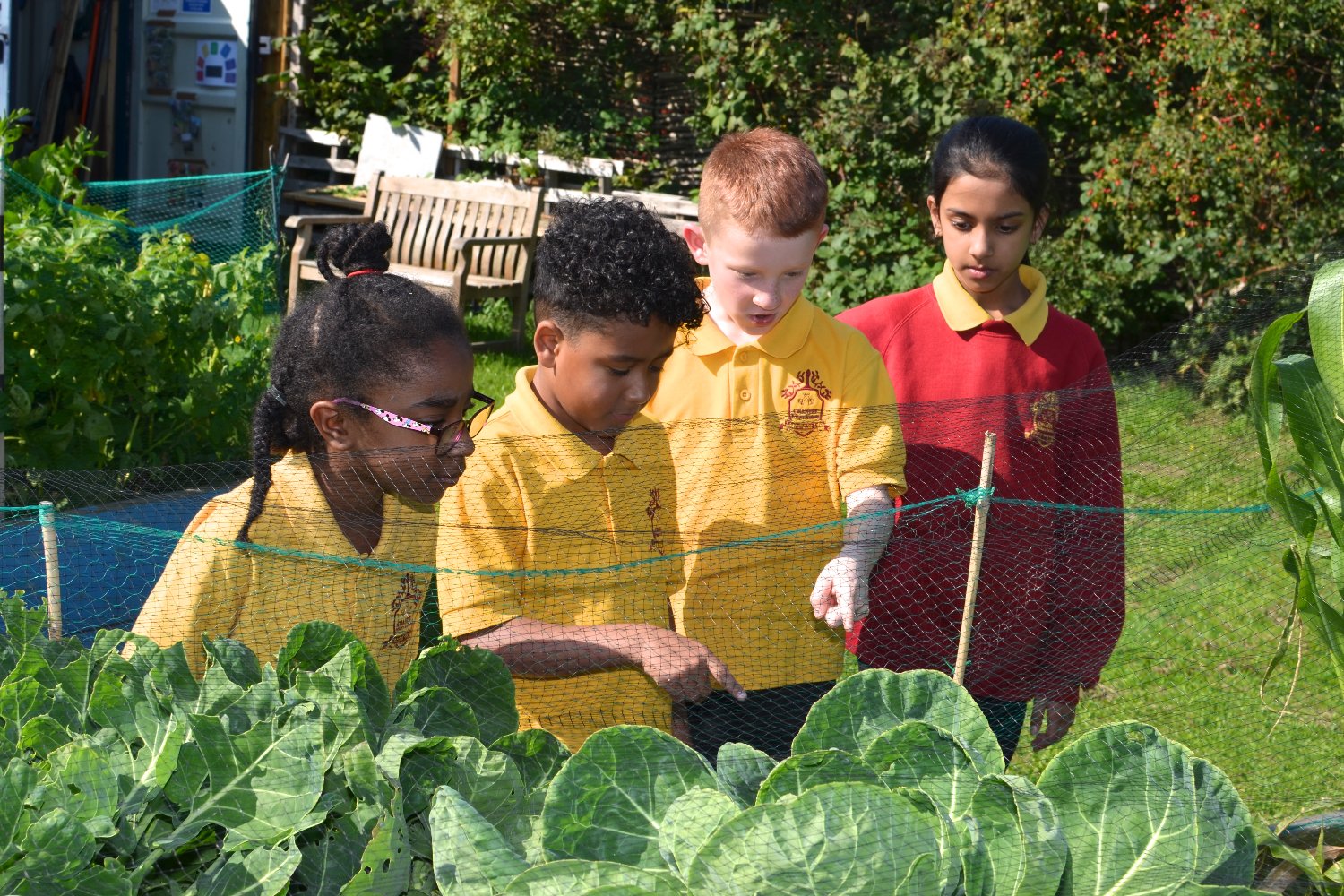Chantry Primary Academy banner