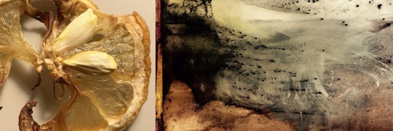 lauchis ˖ ࣪⭑ banner