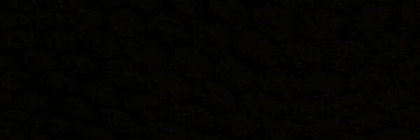 FarnazML64's profile banner image