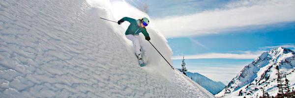 AmyJaneDavid Profile Banner