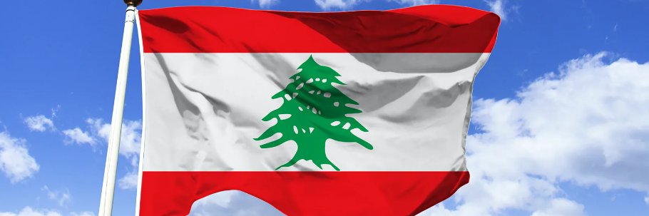 مواطنة لبنانية banner