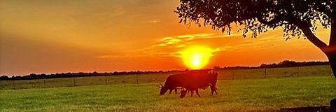 ~Cassee~'s banner