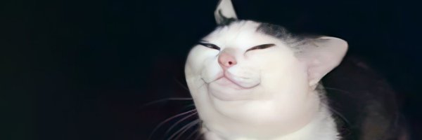 GeckoCGI Profile Banner