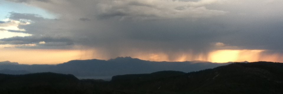 Deep Wild Journal banner