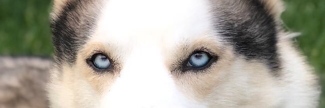 BoloNathan's profile banner image